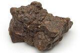 Authentic Chondrite Meteorites (5 to 10 Grams) - Western Sahara Desert - Photo 3